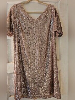 Ann Taylor Rose Pink Sequin Party Dress